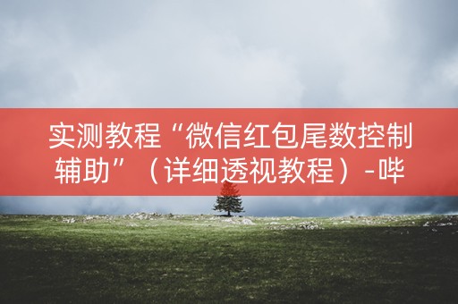 实测教程“微信红包尾数控制辅助”（详细透视教程）-哔哩哔哩
