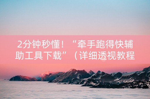2分钟秒懂！“牵手跑得快辅助工具下载”（详细透视教程）-哔哩哔哩
