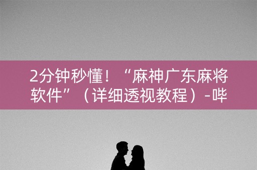 2分钟秒懂！“麻神广东麻将软件”（详细透视教程）-哔哩哔哩