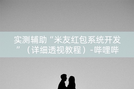 实测辅助“米友红包系统开发”（详细透视教程）-哔哩哔哩