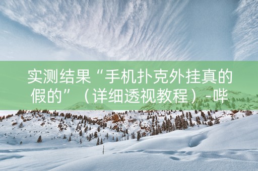实测结果“手机扑克外挂真的假的”（详细透视教程）-哔哩哔哩