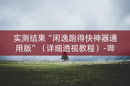 实测结果“闲逸跑得快神器通用版”（详细透视教程）-哔哩哔哩