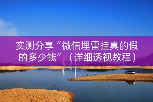 实测分享“微信埋雷挂真的假的多少钱”（详细透视教程）-哔哩哔哩