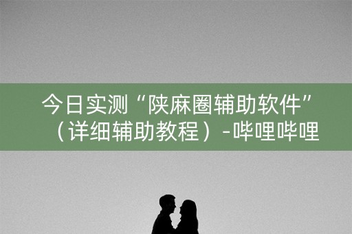 今日实测“陕麻圈辅助软件”（详细辅助教程）-哔哩哔哩