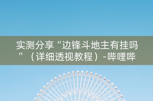 实测分享“边锋斗地主有挂吗”（详细透视教程）-哔哩哔哩