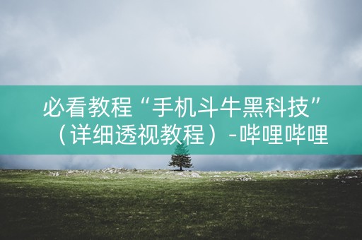 必看教程“手机斗牛黑科技”（详细透视教程）-哔哩哔哩