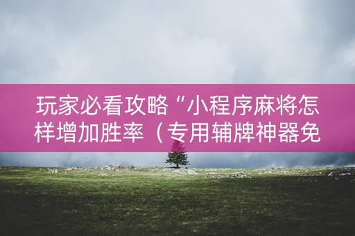 玩家必看攻略“小程序麻将怎样增加胜率（专用辅牌神器免安装）