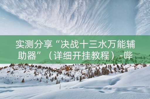 实测分享“决战十三水万能辅助器”（详细开挂教程）-哔哩哔哩