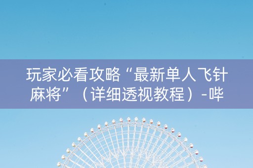玩家必看攻略“最新单人飞针麻将”（详细透视教程）-哔哩哔哩
