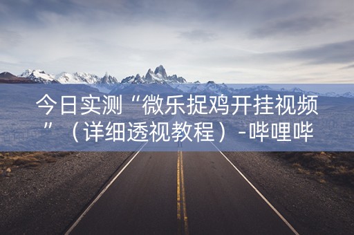 今日实测“微乐捉鸡开挂视频”（详细透视教程）-哔哩哔哩