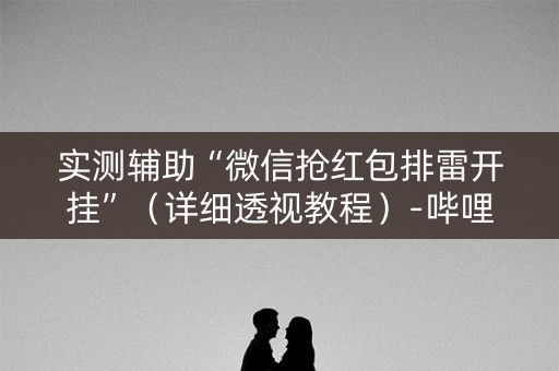 实测辅助“微信抢红包排雷开挂”（详细透视教程）-哔哩哔哩