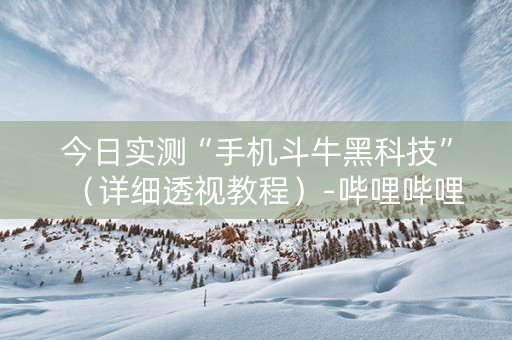 今日实测“手机斗牛黑科技”（详细透视教程）-哔哩哔哩