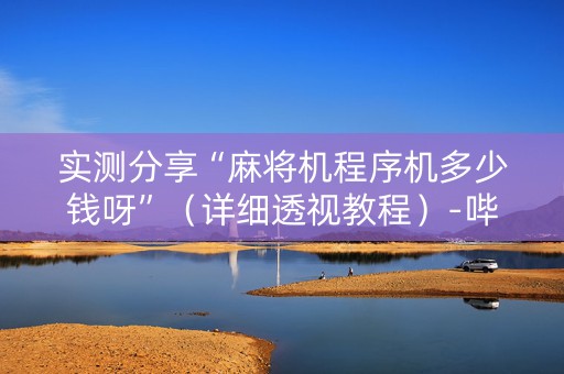 实测分享“麻将机程序机多少钱呀”（详细透视教程）-哔哩哔哩