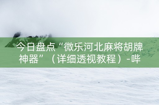 今日盘点“微乐河北麻将胡牌神器”（详细透视教程）-哔哩哔哩