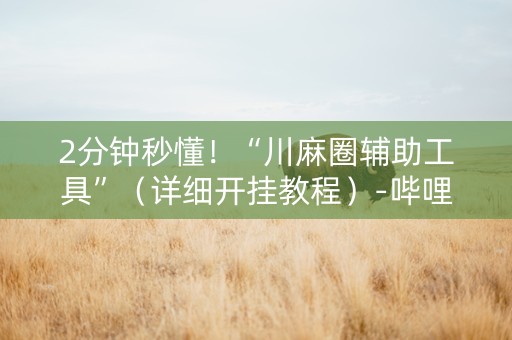 2分钟秒懂！“川麻圈辅助工具”（详细开挂教程）-哔哩哔哩