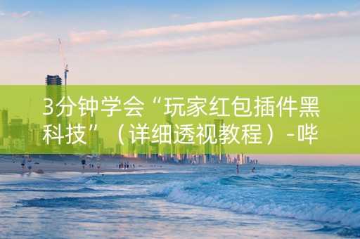 3分钟学会“玩家红包插件黑科技”（详细透视教程）-哔哩哔哩