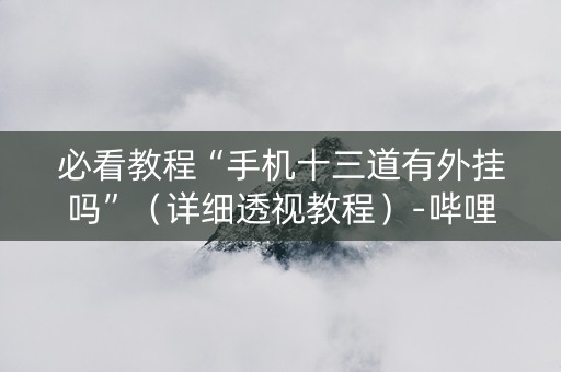 必看教程“手机十三道有外挂吗”（详细透视教程）-哔哩哔哩