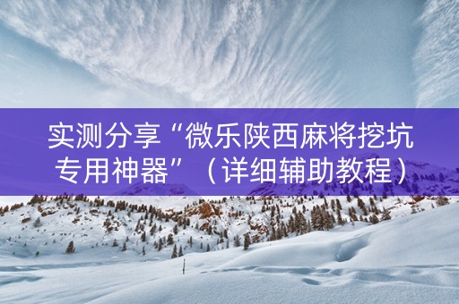 实测分享“微乐陕西麻将挖坑专用神器”（详细辅助教程）-哔哩哔哩