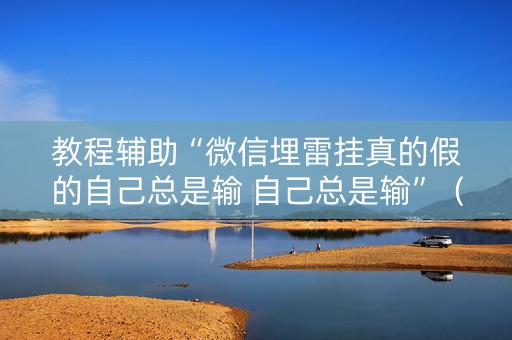 教程辅助“微信埋雷挂真的假的自己总是输 自己总是输”（详细透视教程）-哔哩哔哩