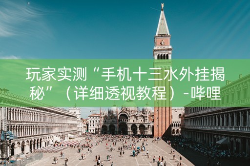 玩家实测“手机十三水外挂揭秘”（详细透视教程）-哔哩哔哩
