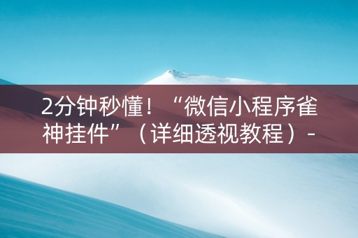2分钟秒懂！“微信小程序雀神挂件”（详细透视教程）-哔哩哔哩