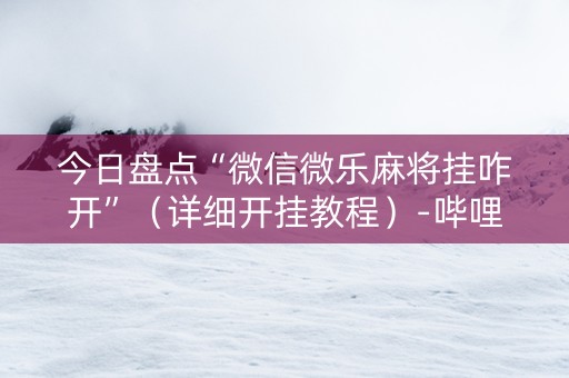 今日盘点“微信微乐麻将挂咋开”（详细开挂教程）-哔哩哔哩