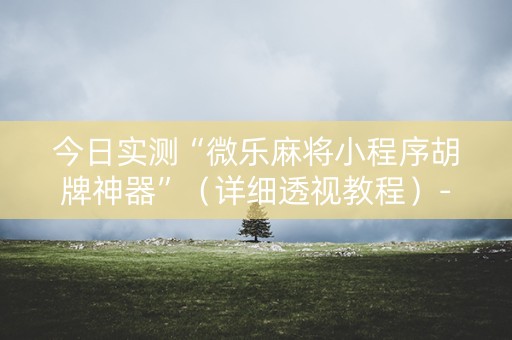 今日实测“微乐麻将小程序胡牌神器”（详细透视教程）-哔哩哔哩
