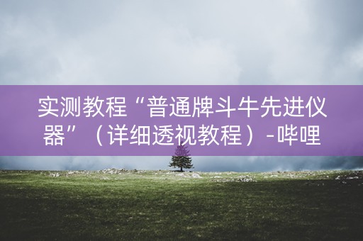 实测教程“普通牌斗牛先进仪器”（详细透视教程）-哔哩哔哩