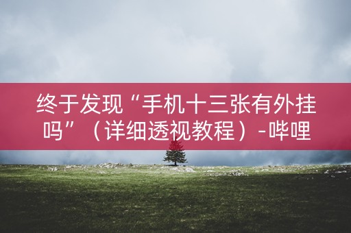 终于发现“手机十三张有外挂吗”（详细透视教程）-哔哩哔哩