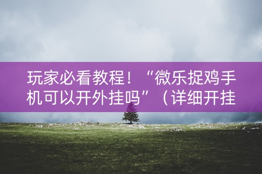 玩家必看教程！“微乐捉鸡手机可以开外挂吗”（详细开挂教程）-哔哩哔哩