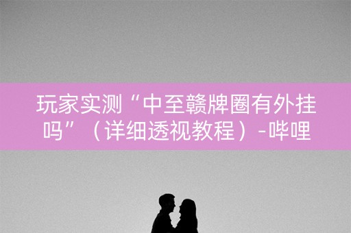 玩家实测“中至赣牌圈有外挂吗”（详细透视教程）-哔哩哔哩