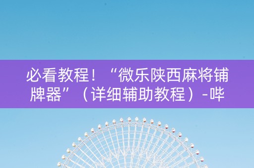 必看教程！“微乐陕西麻将铺牌器”（详细辅助教程）-哔哩哔哩