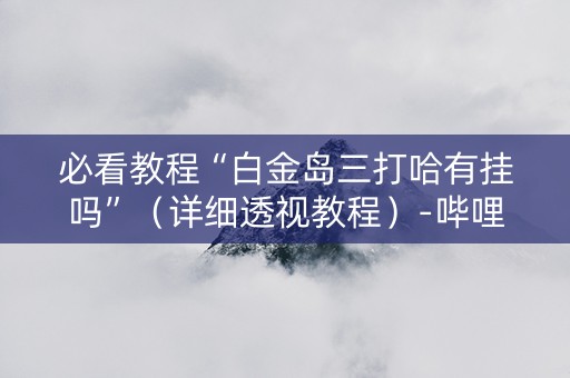 必看教程“白金岛三打哈有挂吗”（详细透视教程）-哔哩哔哩