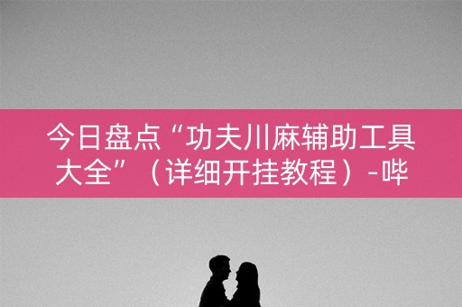 今日盘点“功夫川麻辅助工具大全”（详细开挂教程）-哔哩哔哩