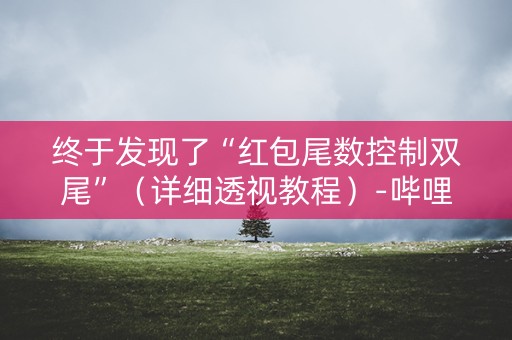 终于发现了“红包尾数控制双尾”（详细透视教程）-哔哩哔哩
