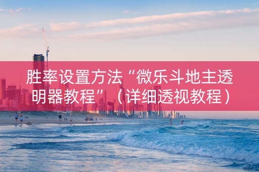 胜率设置方法“微乐斗地主透明器教程”（详细透视教程）-哔哩哔哩