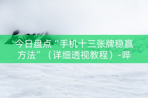 今日盘点“手机十三张牌稳赢方法”（详细透视教程）-哔哩哔哩