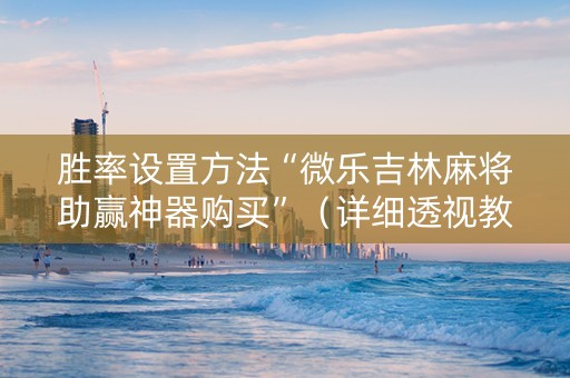 胜率设置方法“微乐吉林麻将助赢神器购买”（详细透视教程）-哔哩哔哩