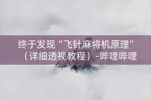 终于发现“飞针麻将机原理”（详细透视教程）-哔哩哔哩