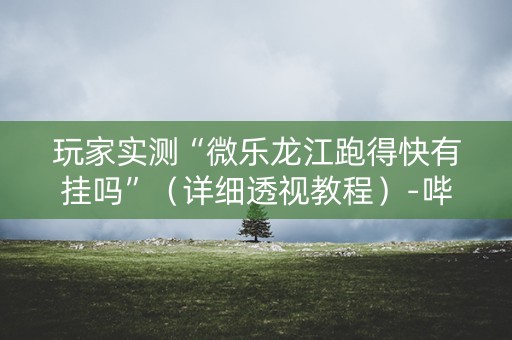 玩家实测“微乐龙江跑得快有挂吗”（详细透视教程）-哔哩哔哩