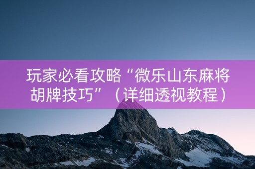 玩家必看攻略“微乐山东麻将胡牌技巧”（详细透视教程）-哔哩哔哩