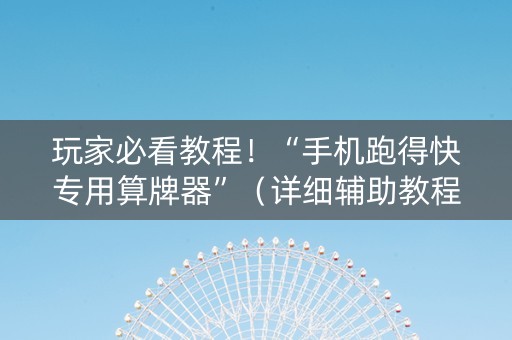 玩家必看教程！“手机跑得快专用算牌器”（详细辅助教程）-哔哩哔哩