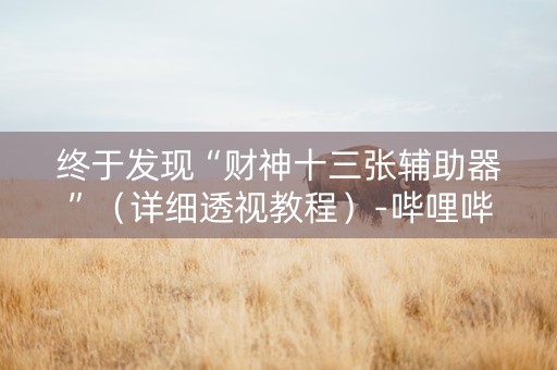 终于发现“财神十三张辅助器”（详细透视教程）-哔哩哔哩