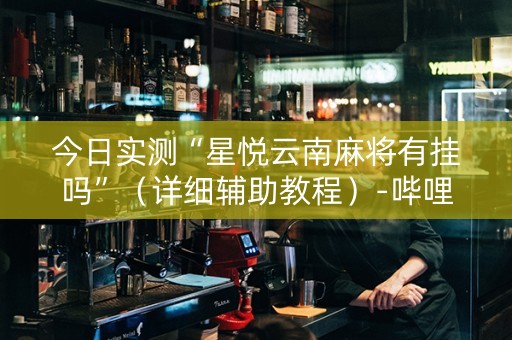 今日实测“星悦云南麻将有挂吗”（详细辅助教程）-哔哩哔哩