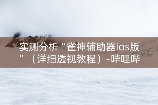 实测分析“雀神辅助器ios版”（详细透视教程）-哔哩哔哩