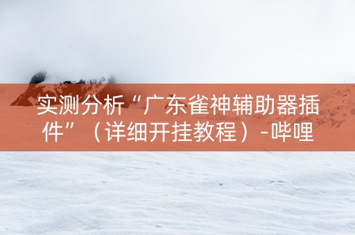 实测分析“广东雀神辅助器插件”（详细开挂教程）-哔哩哔哩