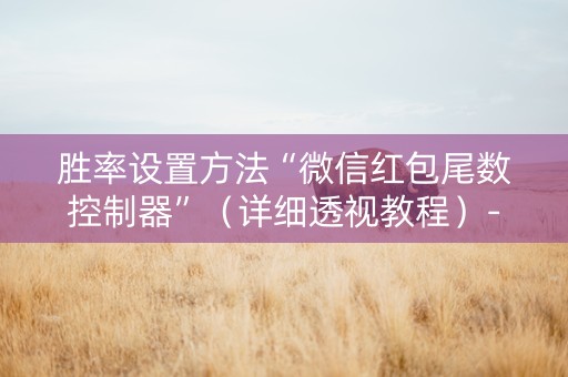 胜率设置方法“微信红包尾数控制器”（详细透视教程）-哔哩哔哩