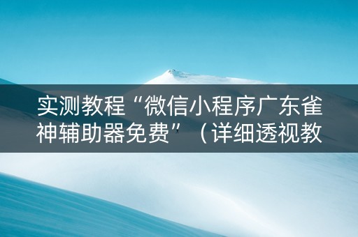 实测教程“微信小程序广东雀神辅助器免费”（详细透视教程）-哔哩哔哩