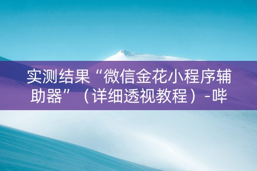 实测结果“微信金花小程序辅助器”（详细透视教程）-哔哩哔哩
