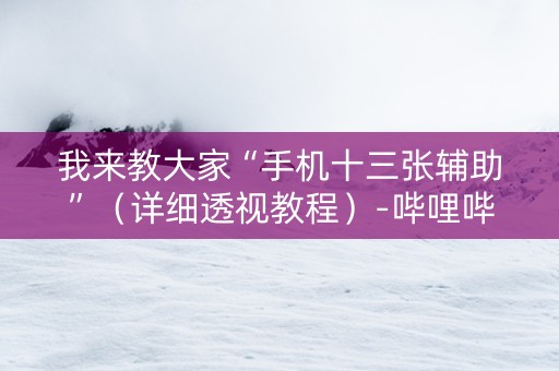 我来教大家“手机十三张辅助”（详细透视教程）-哔哩哔哩